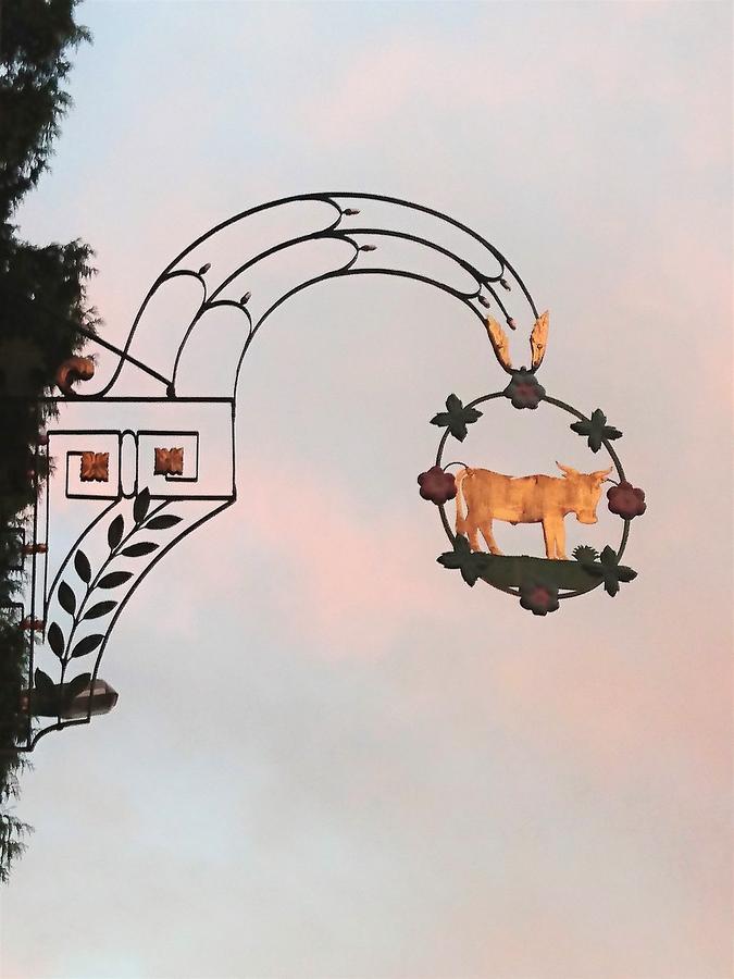Gasthaus Zum Ochsen Neuhaus ภายนอก รูปภาพ